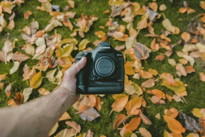 Top Camera Brands Analyzed And Rated | Skylum Blog(8)