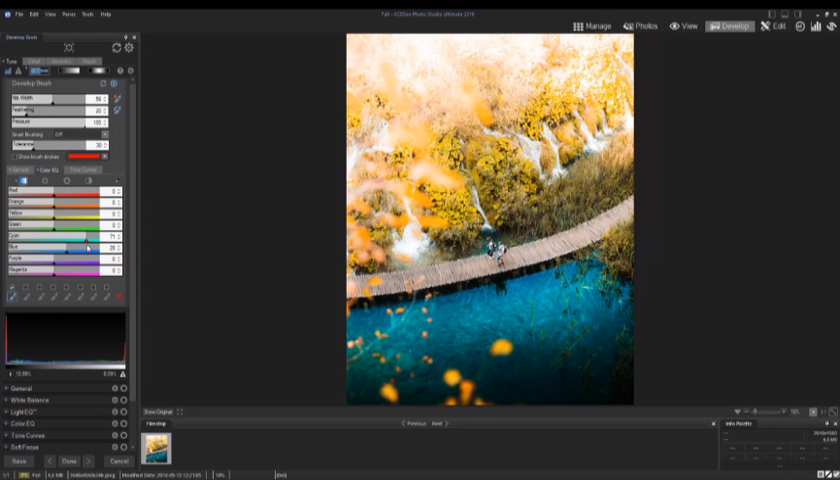 10 Best Photo Organizing Software for Efficient Image Management in 2025 | Skylum Blog(6)