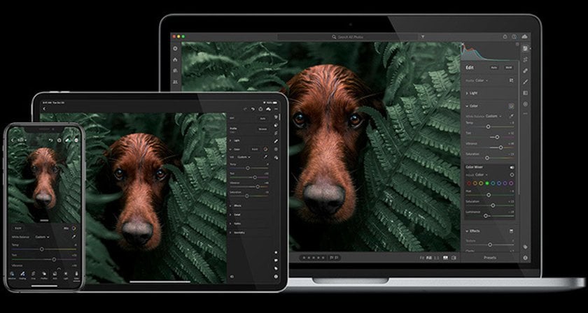 The Best Photo Editing Software 2025 | Skylum Blog(4)