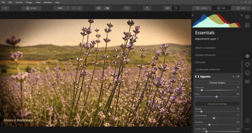 Wie man ein Digitalfoto im Vintage-Look gestaltet Image8