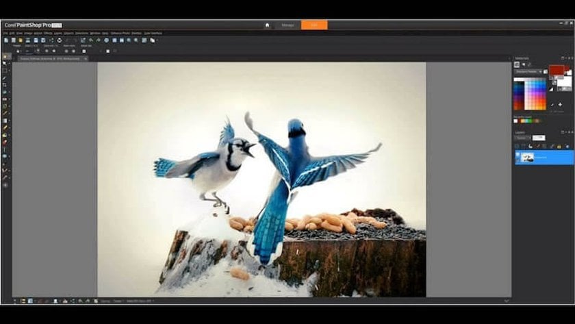 17 Mejores Programas De Edición De Fotos Para Principiantes - Gratuitos, De Prueba Y De Pago | Skylum Blog(8)