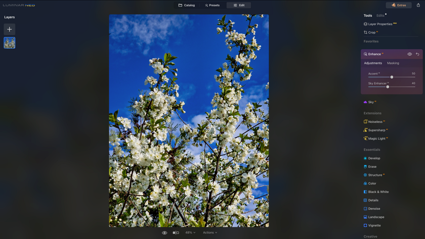 17 Meilleurs Logiciels De Retouche Photo Pour Les Débutants - Gratuits, À L'essai Et Payants | Skylum Blog(3)