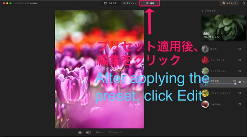 Luminar Neo Preset function: A Brief Guide | Skylum Blog(11)