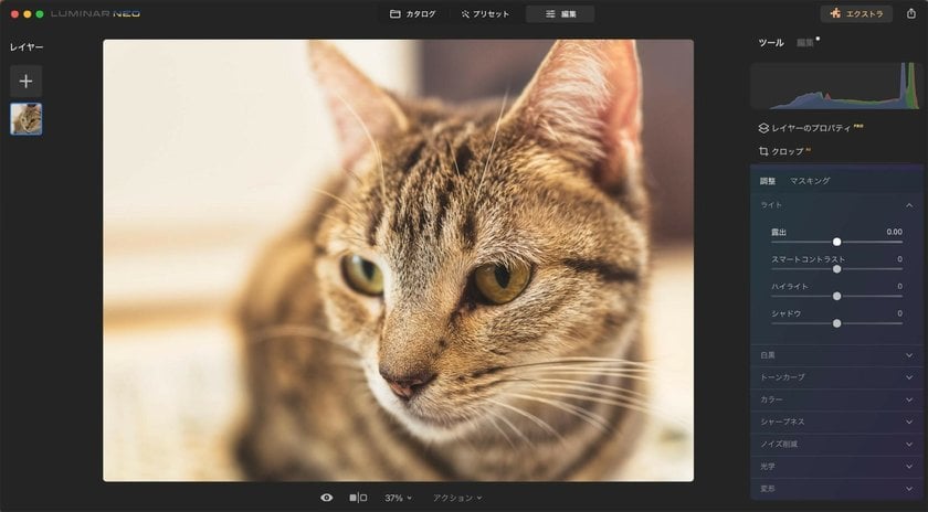 カメラ初心者が写真を上達するためのアドバイスとヒント | Skylum Blog(12)