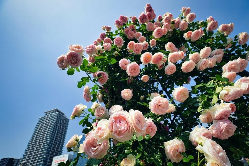 Understanding Perspective in Photography: Key Points | Skylum Blog(8)