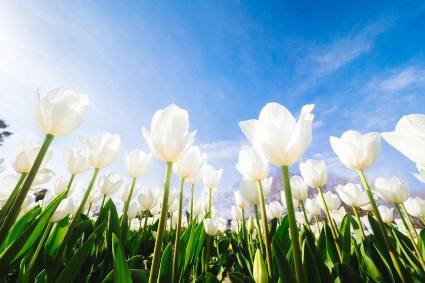 Understanding Perspective in Photography: Key Points | Skylum Blog(14)
