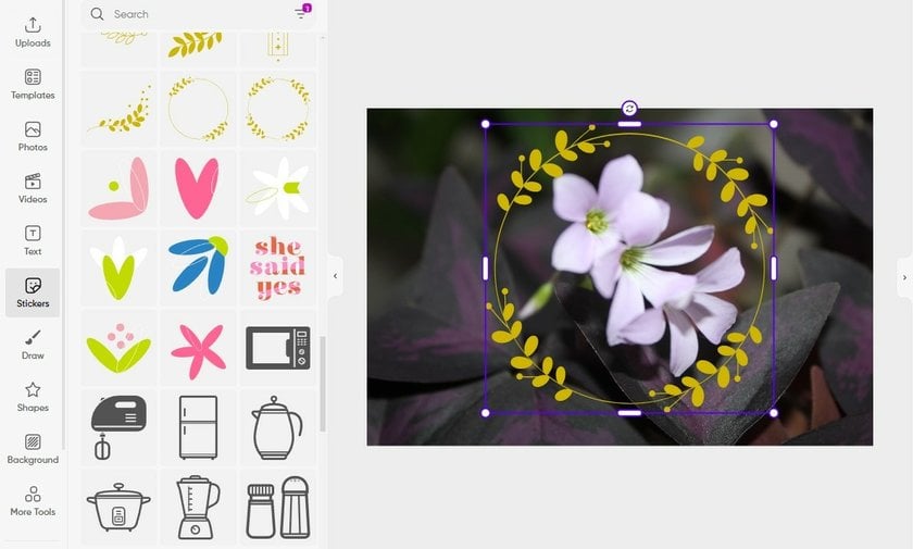 How To Add Stickers To Photos For A Creative Flair | Skylum Blog(9)