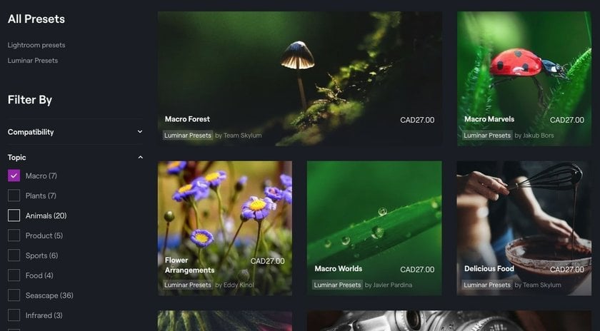 Luminar Neoを使ったマクロ写真の編集方法と役立つ拡張機能 | Skylum Blog(7)