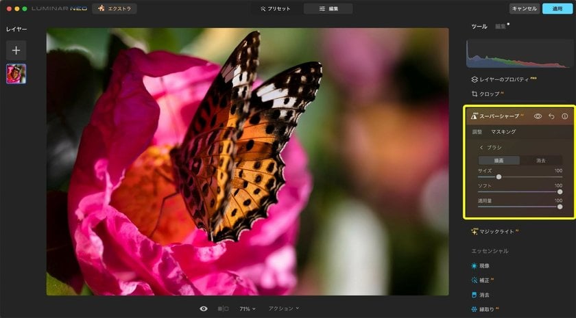 Luminar Neoを使ったマクロ写真の編集方法と役立つ拡張機能 | Skylum Blog(10)
