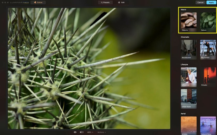Luminar Neoを使ったマクロ写真の編集方法と役立つ拡張機能 | Skylum Blog(6)