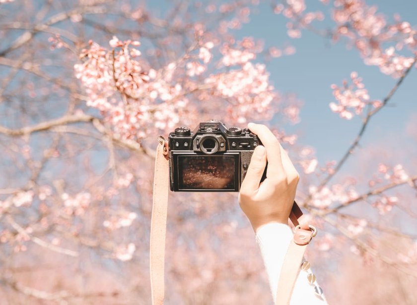 Mirrorless Camera: What is it? - Skylum Glossary(3)