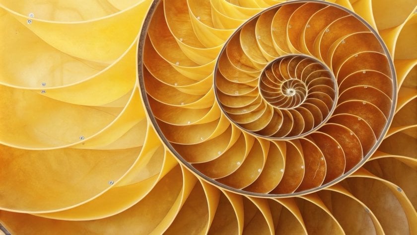 Examples Of The Golden Ratio Hidden In Plain Sight | Skylum Blog(3)