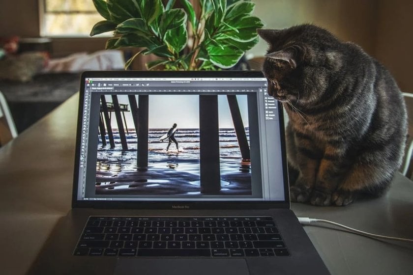 What is Photoshop Elements? | Skylum Blog