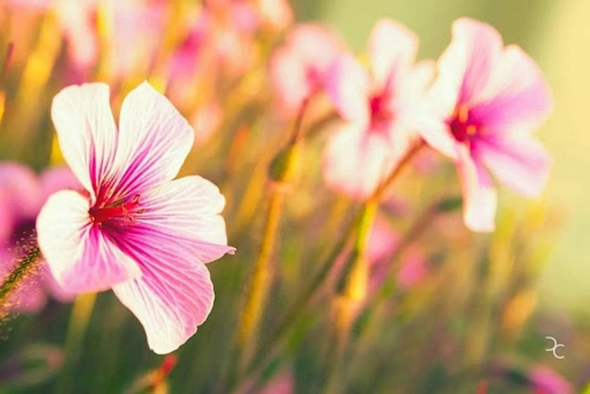 Qu'est-ce que la photographie HDR : Définition de la photographie à grande gamme dynamique | Skylum Blog(8)