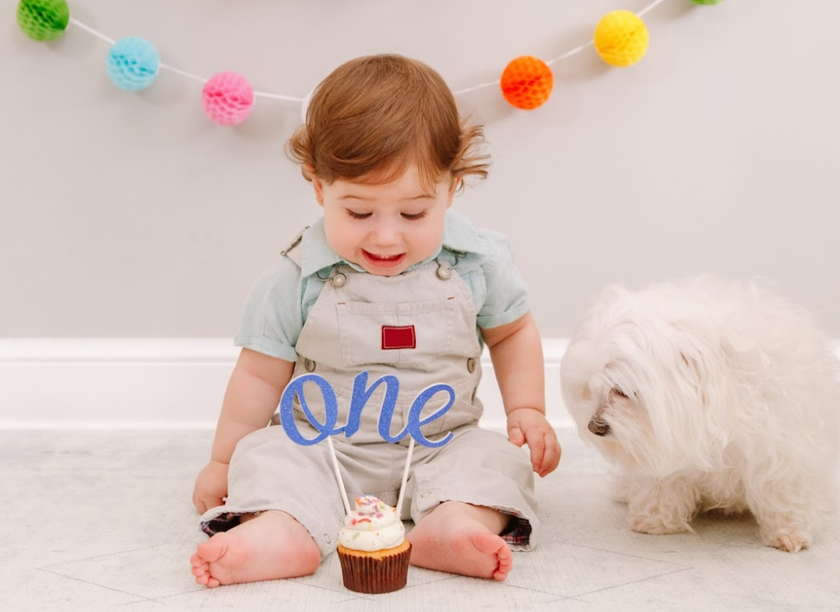 Capture the Precious Moments: Unforgettable First Birthday Photoshoot Ideas I Skylum Blog | Skylum Blog(11)