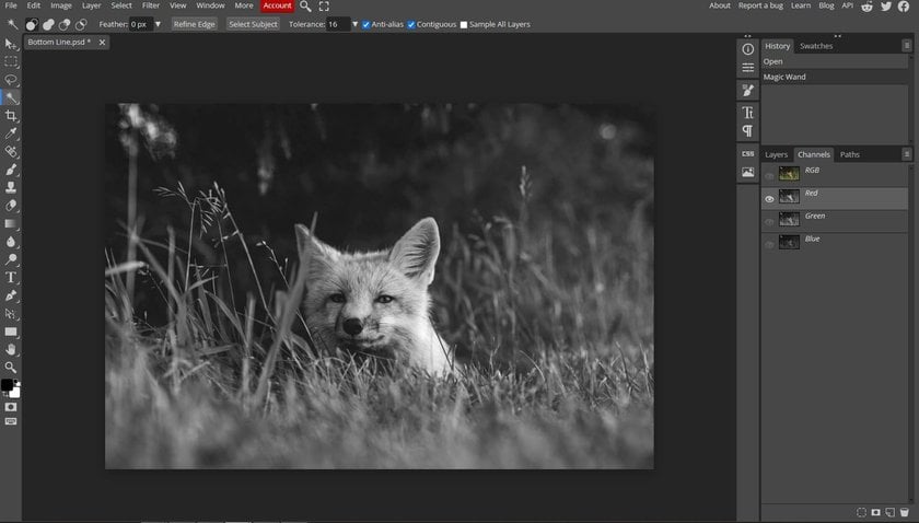 Nejlepší software pro úpravu fotografií pro Mac: Nejlepší výběry pro rok 2025 | Skylum Blog(13)