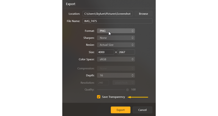 How to Improve Photo Backgrounds with Luminar Neo: Essential Tips | Skylum Blog(15)
