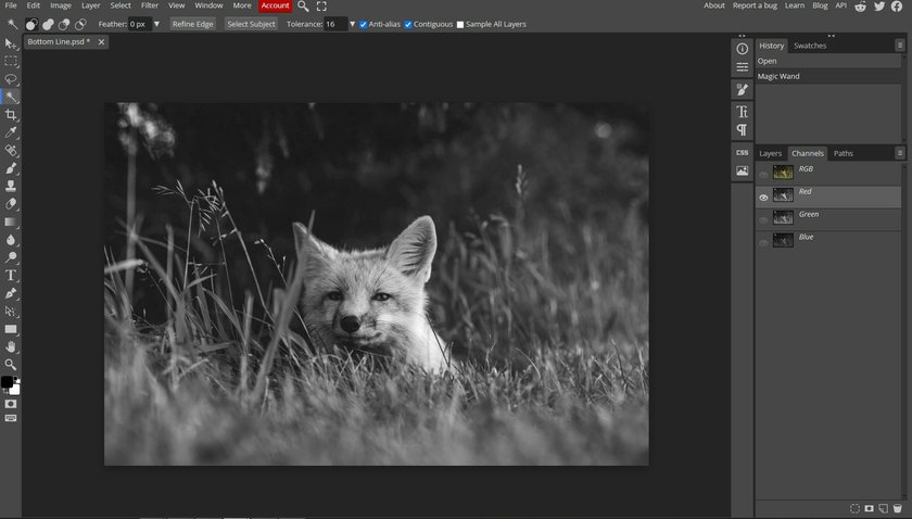 Top 10 Affinity Designer Alternatives in 2025  | Skylum Blog(11)