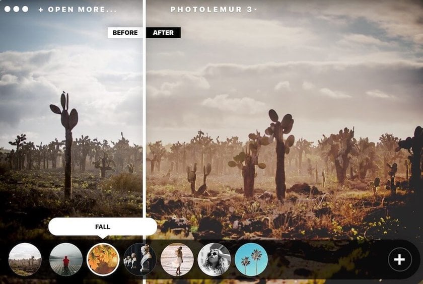 Productos de Topaz Labs y Mejores Alternativas de Edición de Fotos | Skylum Blog(8)
