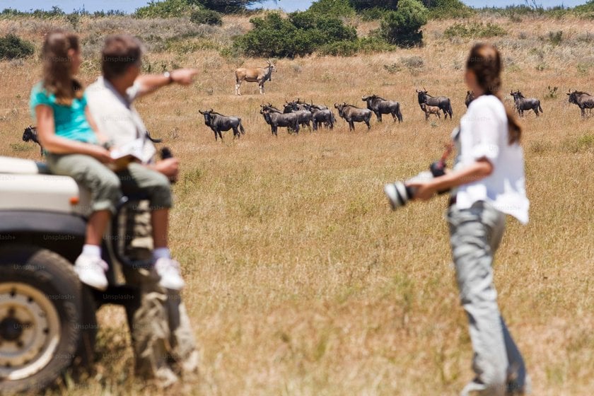 How Becoming a Wildlife Photographer: Insights on Career Prospects Image6