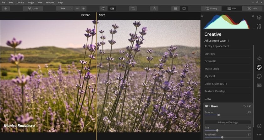 Cómo Darle una Apariencia Vintage a tu Fotografía Digital Image5