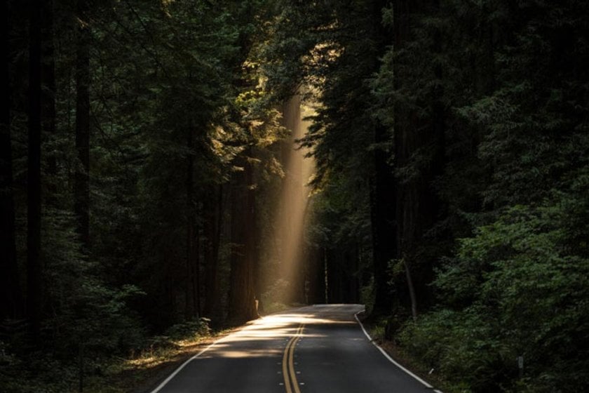 What is natural light in photography | The Best Tips and Tricks | Skylum Blog(5)