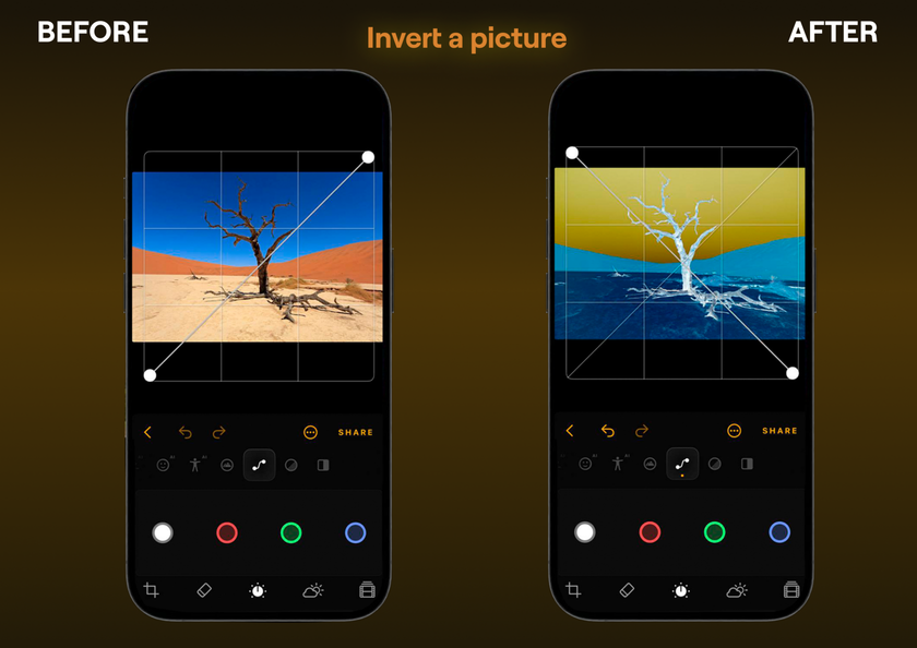 How to Invert a Picture on iPhone: 5 Methods Image1