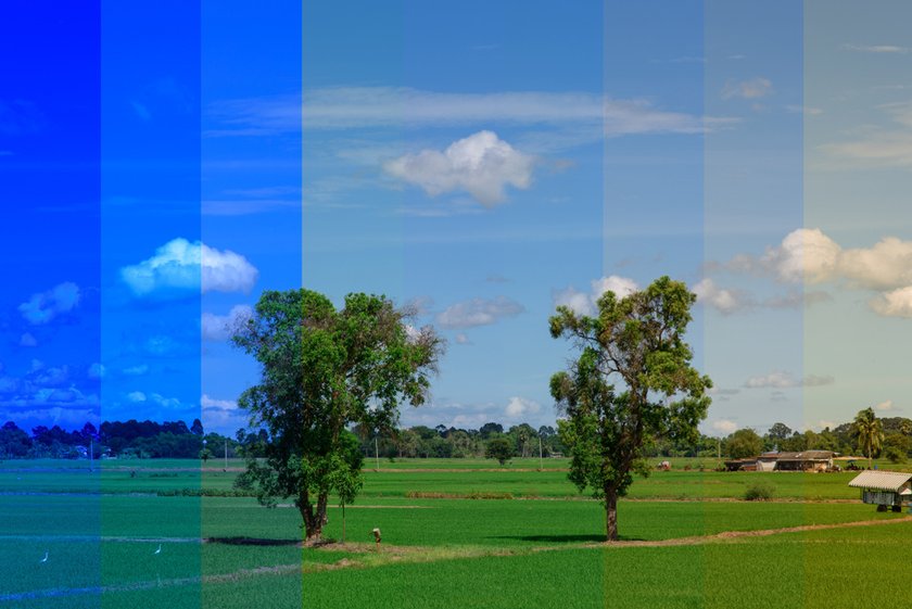 White Balance: What is it? - Skylum Glossary