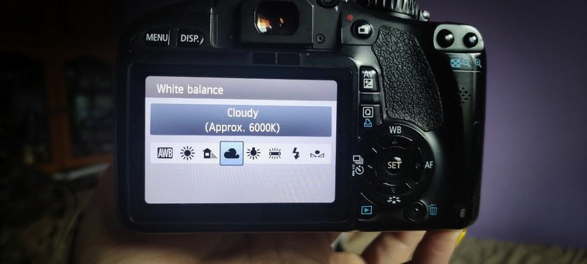 White Balance: What is it? - Skylum Glossary(2)