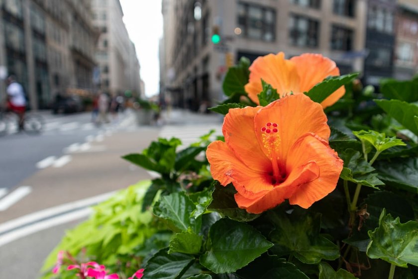 Hyperfocal Distance: What is it? - Skylum Glossary(3)