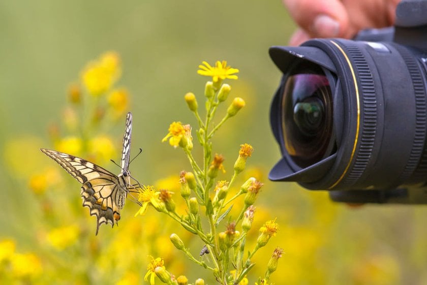 Macro: What is it? - Skylum Glossary(2)