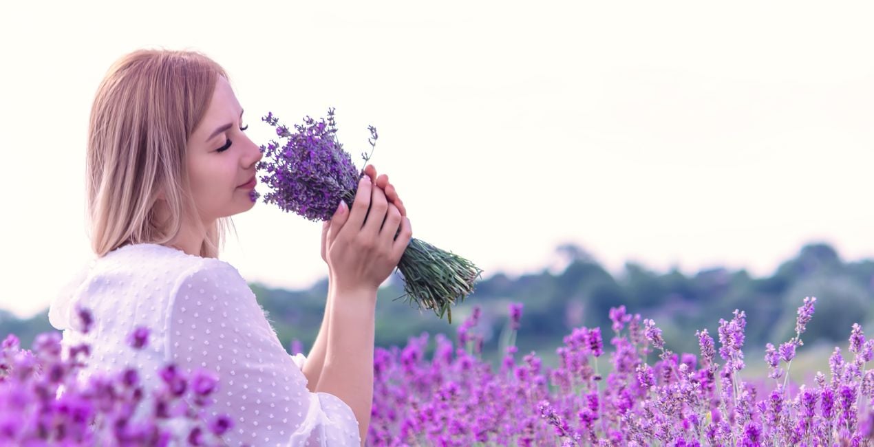 Lavender Look Presets(46)