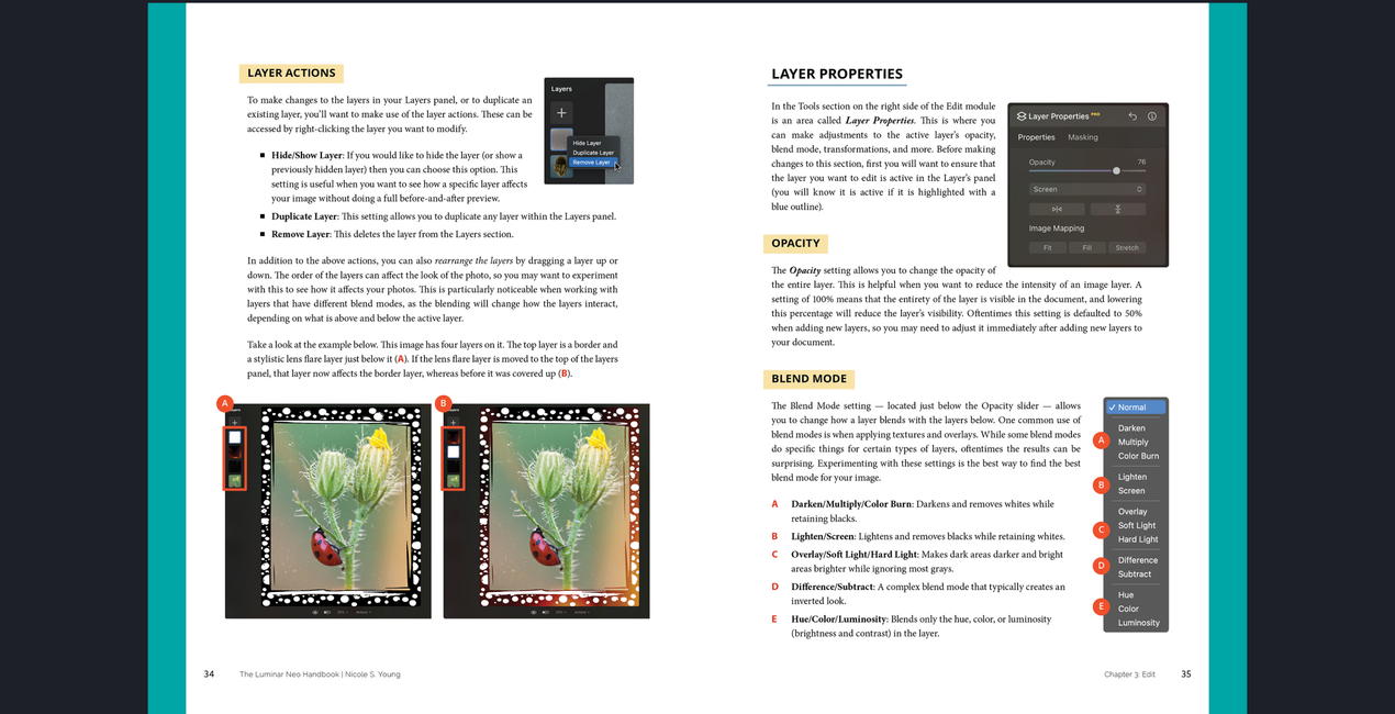 Das Luminar Neo-Handbuch von Nicole S. Young(42)