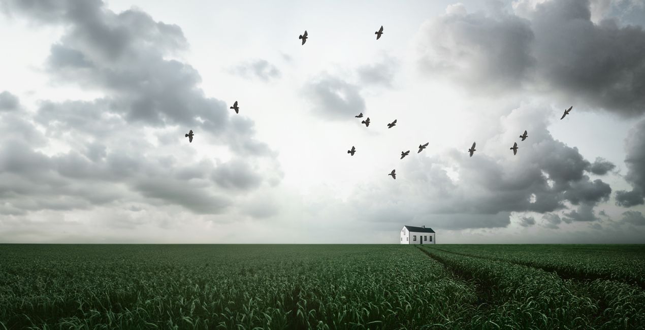 Lovely Bird Overlays(40)