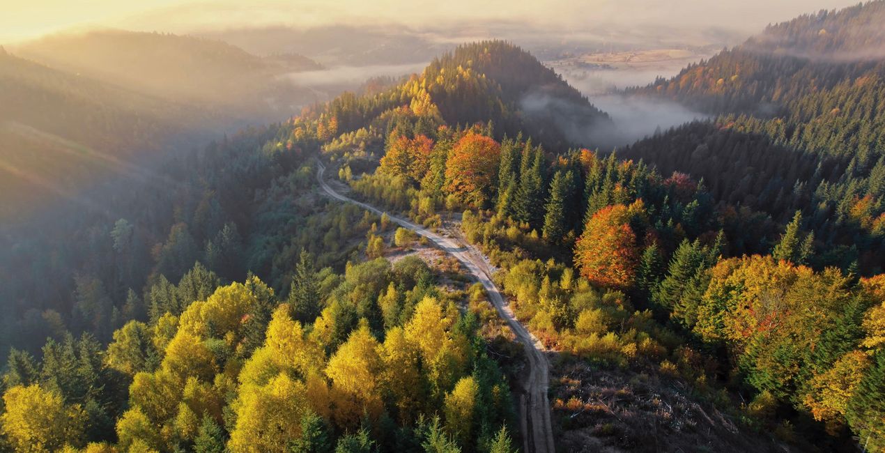 Herfstglorie Voorinstellingen(43)