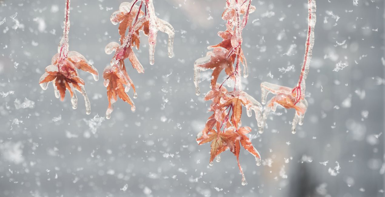 Incrustations Féerie Hivernale(44)