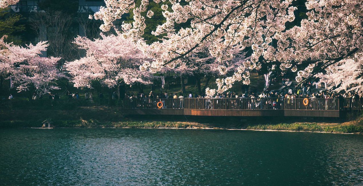 Analog Spring Presets for Luminar | Marketplace(42)