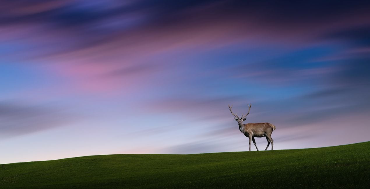 Fine Art Long Exposure Skies II for your photographs(40)
