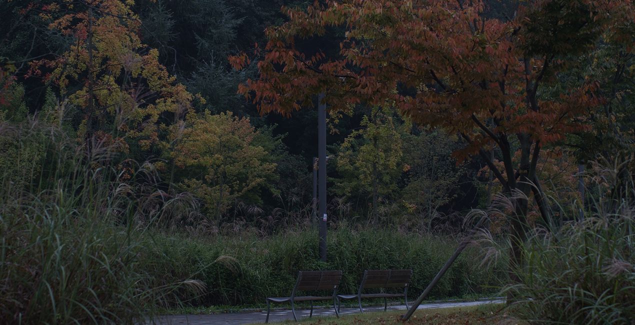 Fall Mists Presets for Luminar | Marletplace(47)