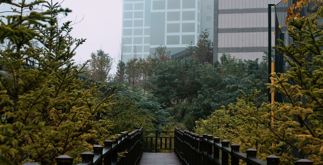 Fall Mists Presets for Luminar | Marletplace(40)