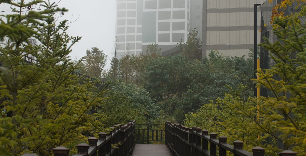 Fall Mists Presets for Luminar | Marletplace(39)
