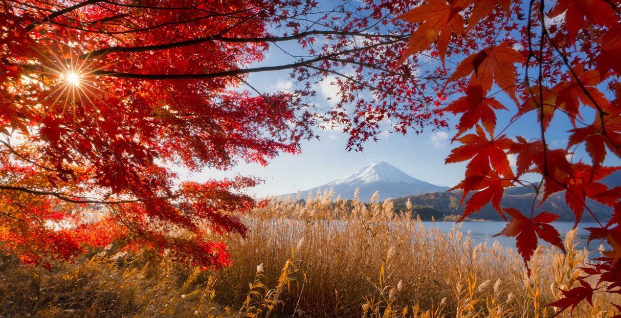 Japan Autumn Dream Presets for Luminar | Marketplace(45)