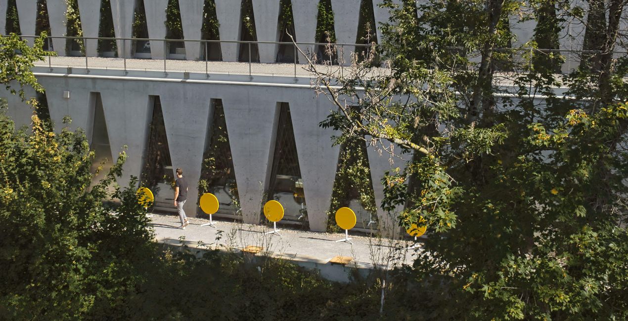 Jungla de Concreto(54)