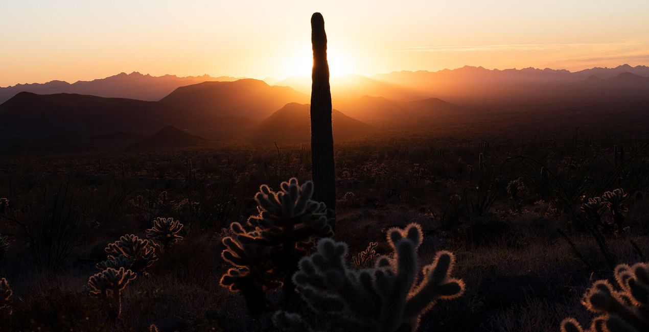 Estados de ánimo de verano(53)