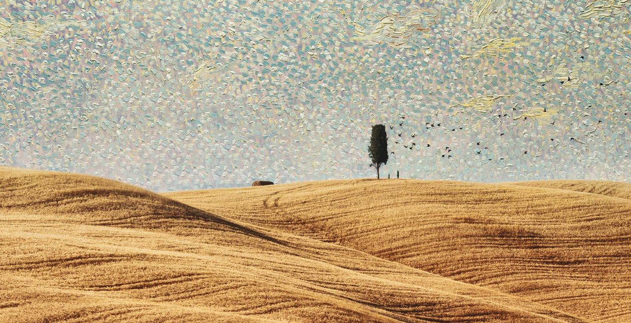 Collezione artistica di Van Gogh(54)