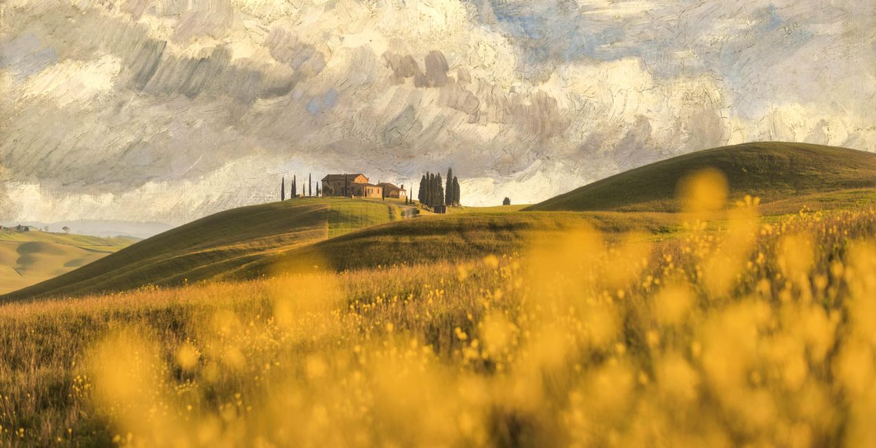 Collezione artistica di Van Gogh(44)