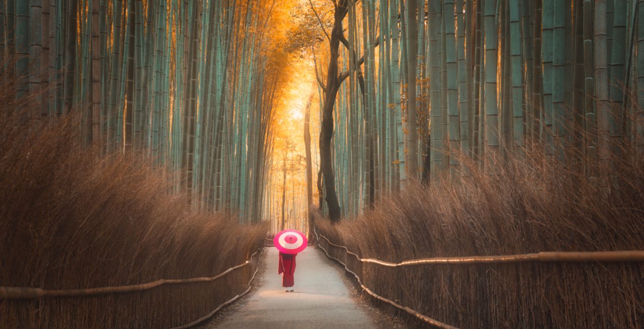 Four Seasons(44)
