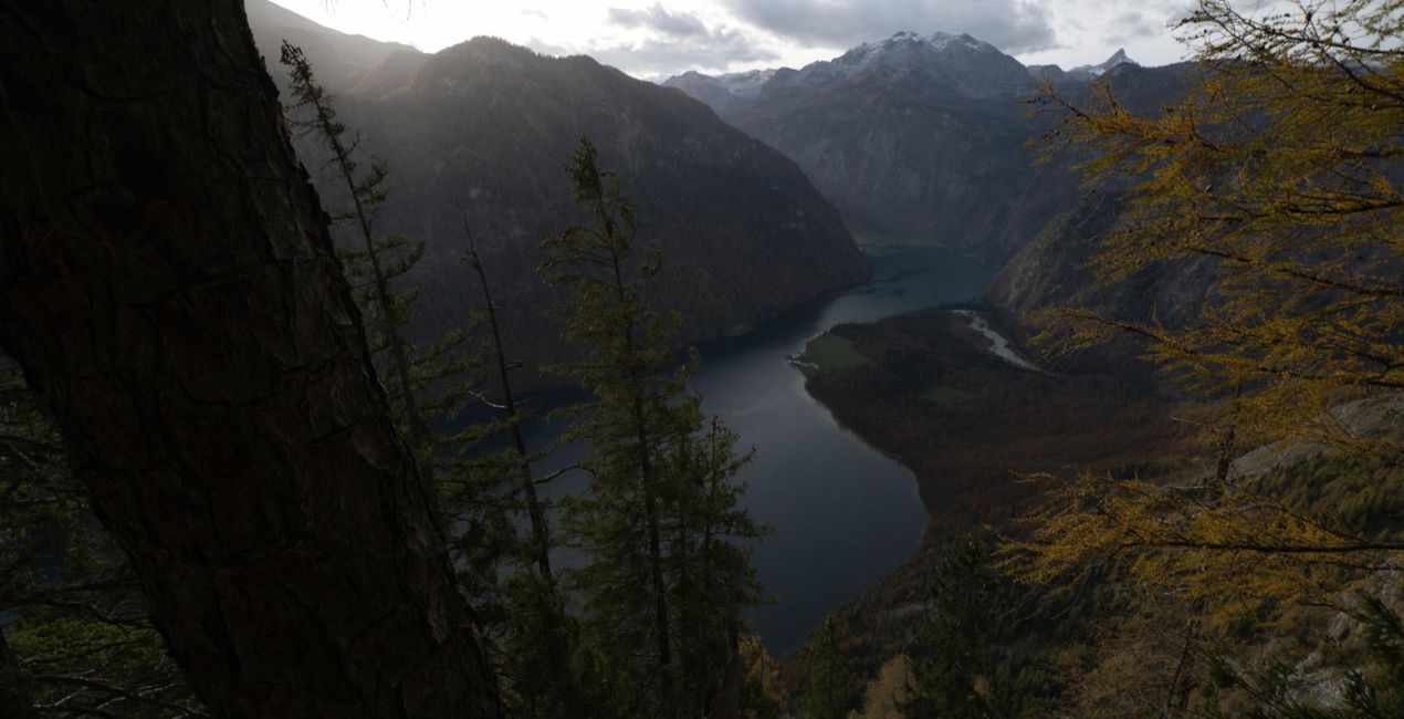 Ultimate Autumn Collection | Luminar Marketplace(51)