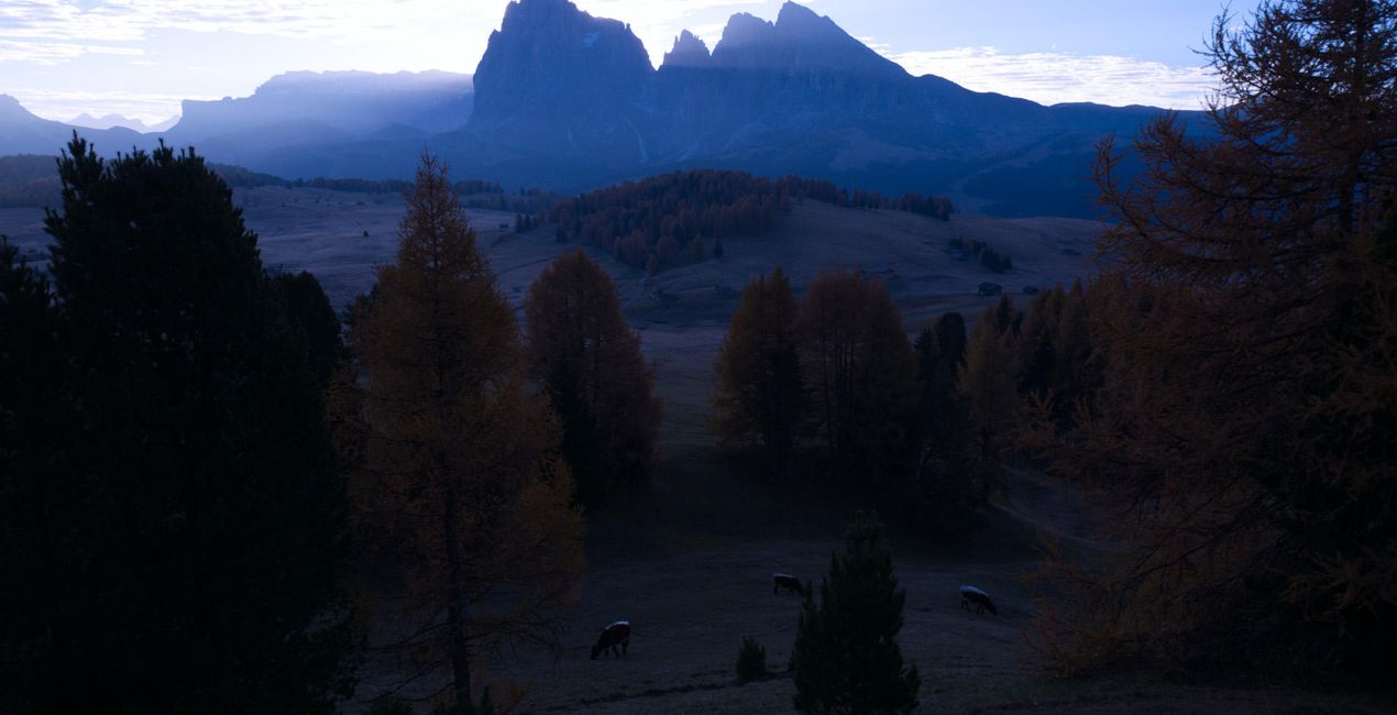 Ultimate Autumn Collection | Luminar Marketplace(53)