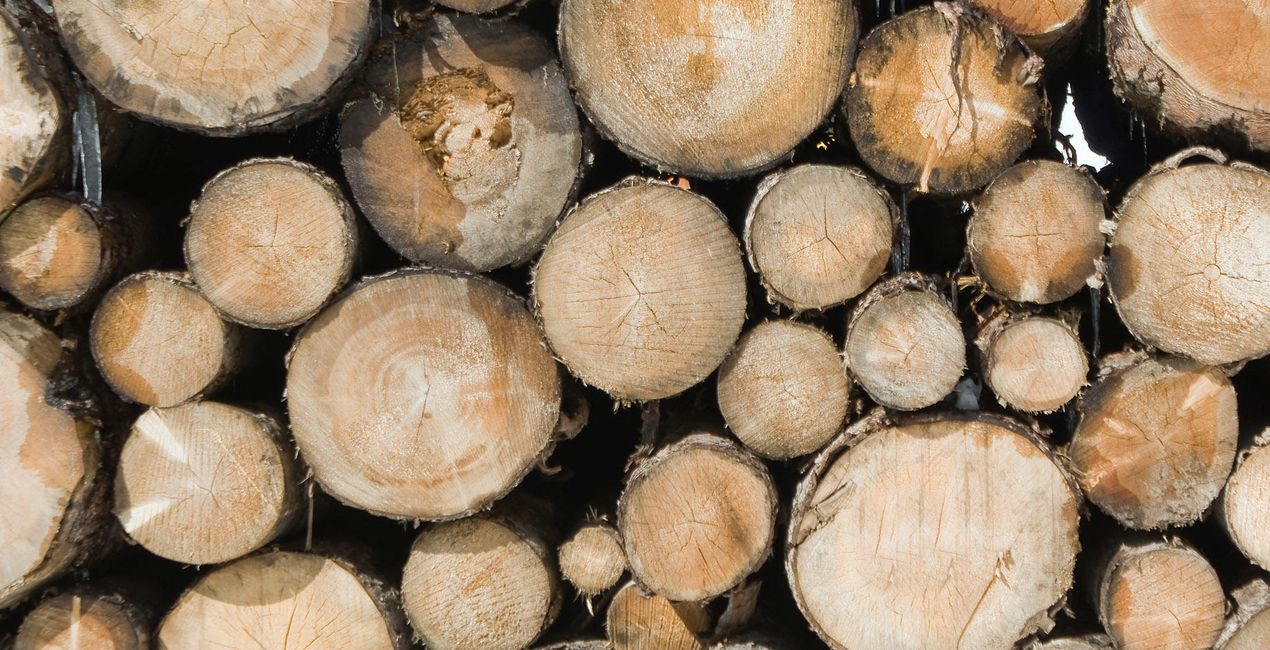Up Close | Luminar Marketplace(39)